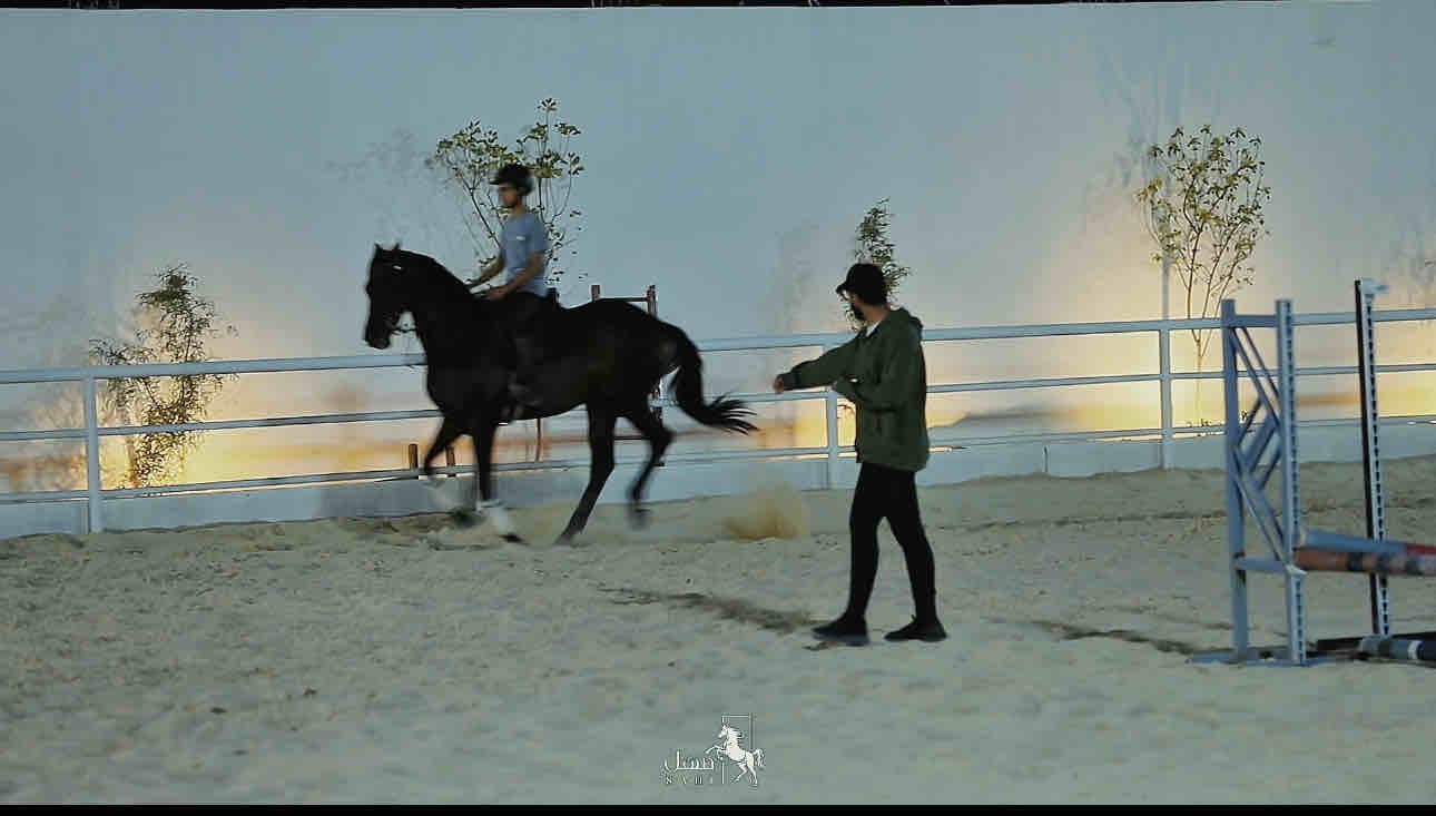 Ground riding training