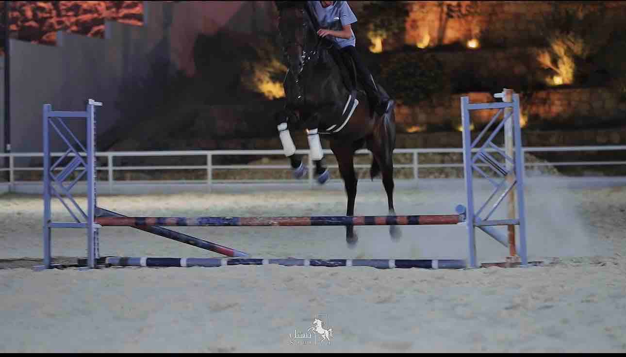 Hurdles training